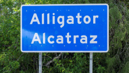 Spojené státy postavily v bažinách koncentrační tábor – a svět mlčí