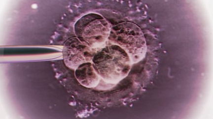Tenhle chlapeček se narodil z 30 let starého embrya