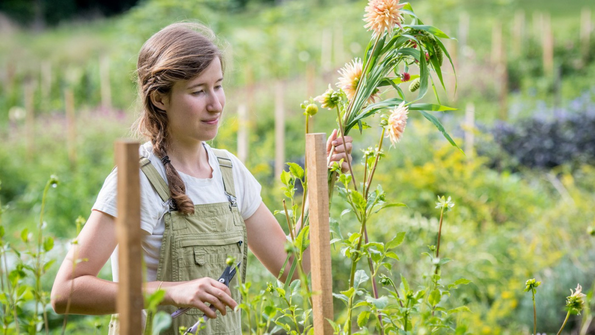 Jak pečovat o zahradu během veder: osvědčené tipy z Česka, Británie i Německa