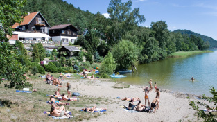 Hygienici zakázali koupání v Máchově jezeře na Českolipsku. Důvodem jsou přemnožené sinice.