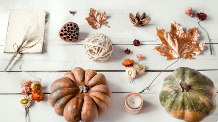 Trendy podzimních dekorací 2025: barvy lesa, věnce a hřejivé detaily s důrazem na přírodní materiály