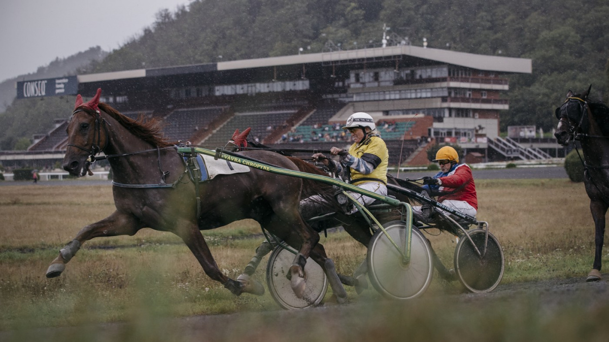 Stát vypověděl nájemní smlouvu chuchelskému závodišti, chce vyšší nájem
