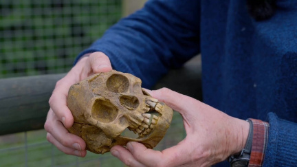Praví hobiti z Tolkienova světa? Vědci tvrdí, že žili na ostrově Flores