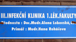 V Praze letos žloutence A podlehlo deset lidí, nemocných je téměř 830