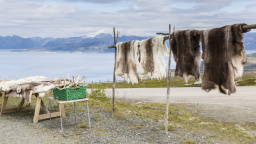 Sibiřské město poslalo ruským vojákům sobí kůže, pro zahřátí i kvůli maskování