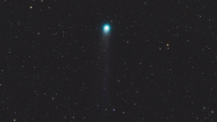 Tohle uvidíme jen jednou za život! Kometa Lemmon se blíží k Zemi a rozzáří říjnovou oblohu