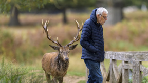 profimedia-1045887998