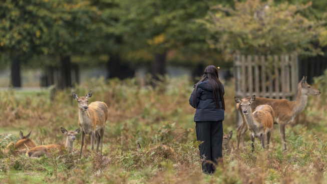 profimedia-1045887528