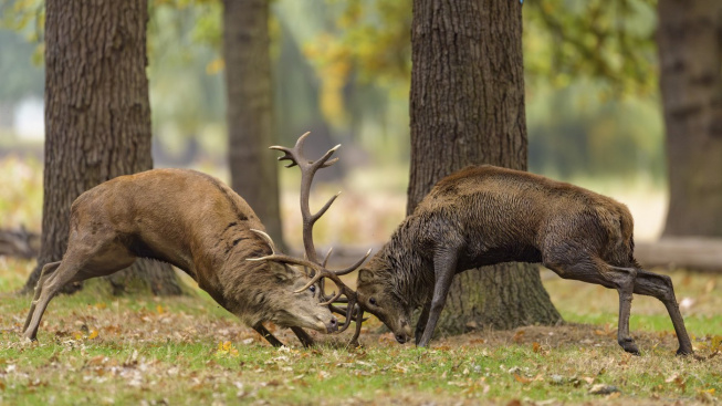 profimedia-1045887976