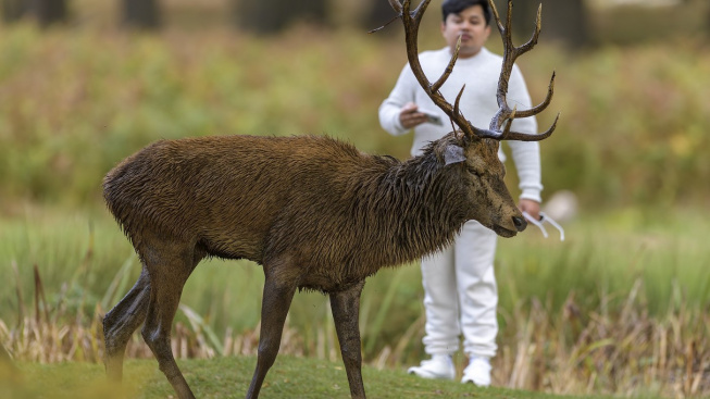 profimedia-1045888072