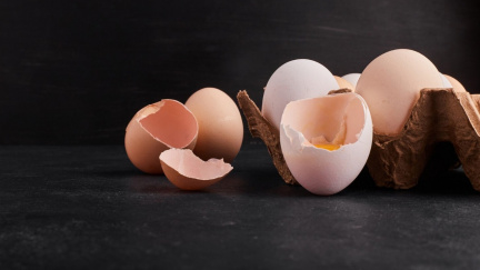 Když se odpad stane zázrakem: domácí elixír pro zdravou půdu i listy