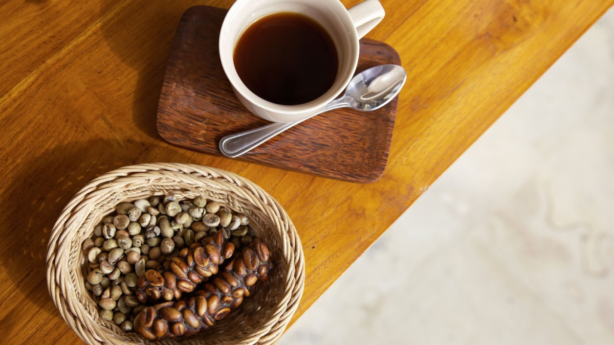 Cibetková káva: Luxus, bizár i vědecká záhada