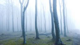 Počasí v listopadu chystá měsíc plný extrémů a překvapení