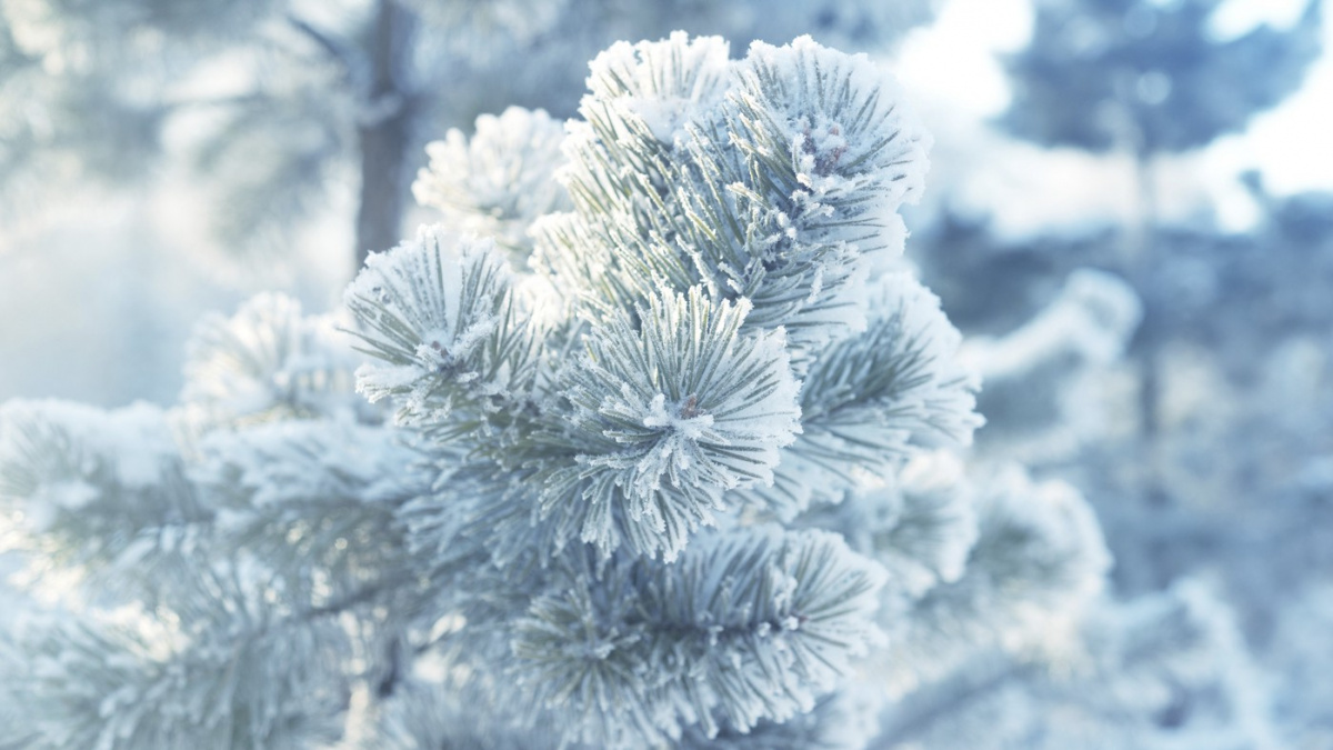 Meteorologové varují: Letošní zima bude mít sílu