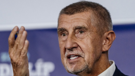 Babiš dnes seznámí prezidenta Pavla s dosavadními výsledky vyjednávání o vládě