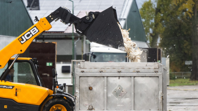 profimedia-1048524277