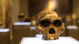 Naši předkové pili jed – a díky tomu vyhráli evoluční válku