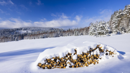 První vánice! Šumava vypadala jak ze zimní pohádky
