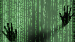 Neviditelný dealer: Jak data mění rozhodnutí na měnu