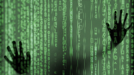 Neviditelný dealer: Jak data mění rozhodnutí na měnu