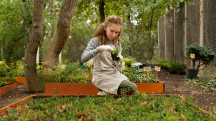 Podzimní úklid zahrady: čtyři chyby, které se vám vymstí na jaře