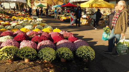 Anketa: Květinářství mají na letošní Dušičky více objednávek než loni