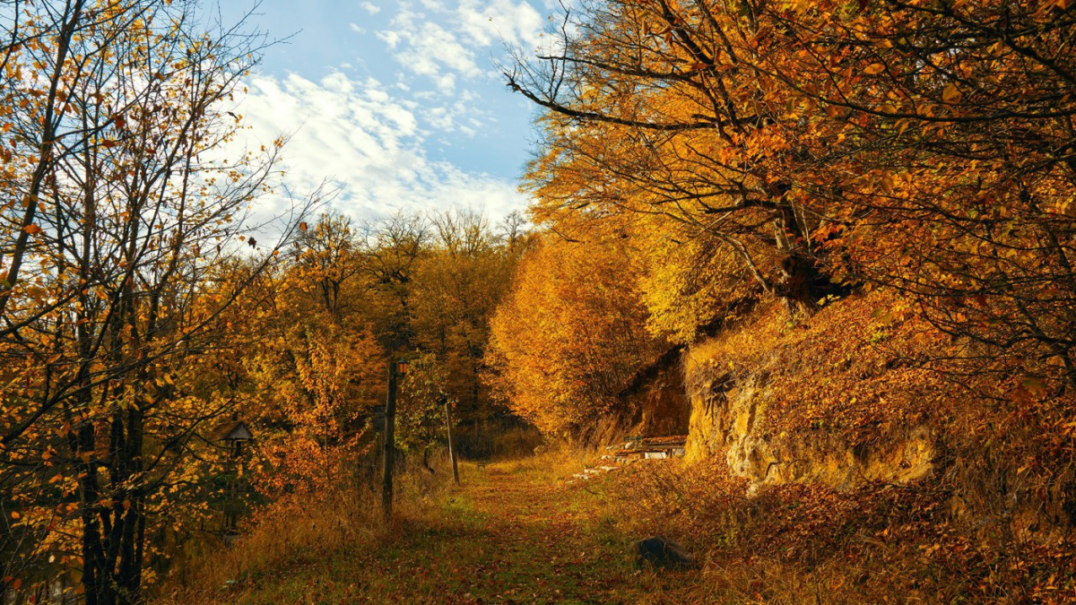 Počasí tento týden: Konečně krásný podzim, jasno a teplo