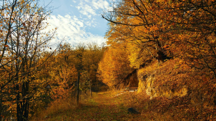Počasí tento týden: Konečně krásný podzim, jasno a teplo