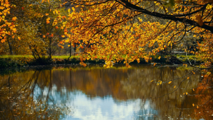 Uhodnete, kolik stupňů tehdy bylo? Listopadový teplotní rekord nepadl už 101 let