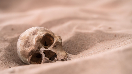 Stovky lidských ostatků bez jména v poušti Nevady, nejde ale asi o masakr