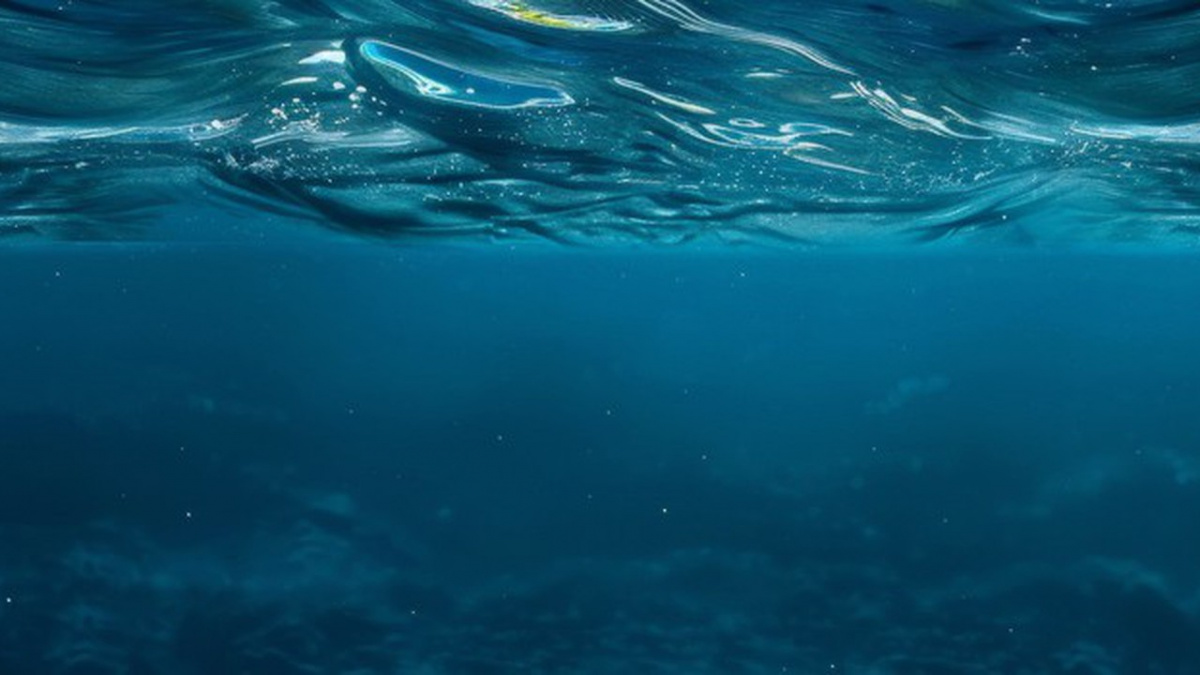 Predátor z temnoty: Objev, který otřásl oceánem a světem biologie