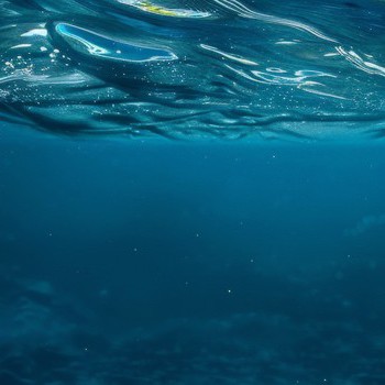 Predátor z temnoty: Objev, který otřásl oceánem a světem biologie