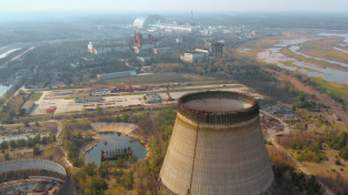 Psi v Černobylu změnili barvu na modrou