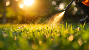 worker-applying-pesticide-lush-green-lawn-efficient-pest-control-outdoors