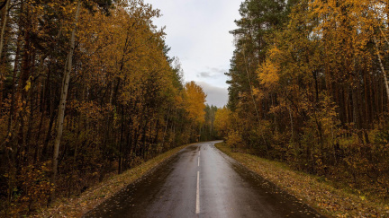 Počasí na víkend: Moc pěkný konec týdne nás nečeká, chystejte deštník a teplé oblečení!