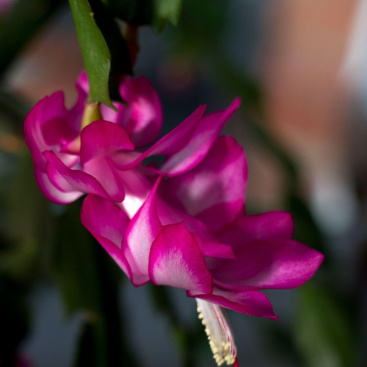 profimedia-0569468038