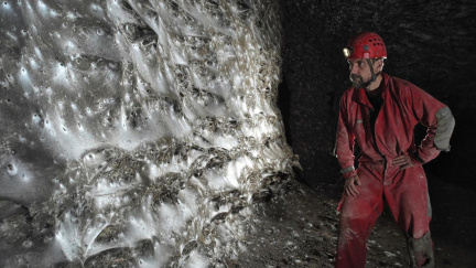 Kdo se bojí, nesmí do jeskyně! Největší pavučina na světě: Vešel by se do ní dům a žije v ní neuvěřitelné množství pavouků