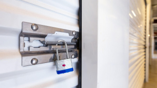 Muž koupil kóji za pár stovek. Nález z ní rezonoval celou zemí