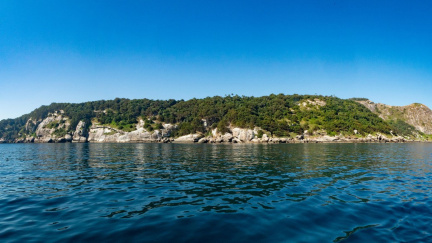 Ostrov, kde vládnou jedovatí hadi. Tropický ráj, kde lidé nevydrží ani 20 vteřin