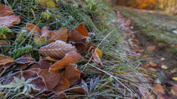 Počasí příští týden: Dejte pozor, přijdou mrazy a hrozí náledí
