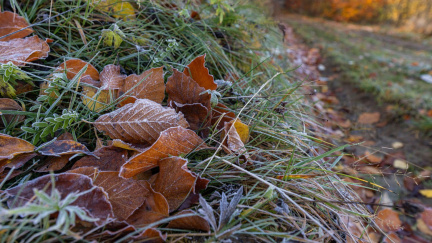 Počasí příští týden: Dejte pozor, přijdou mrazy a hrozí náledí