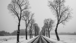 Pozor na silnicích! Na celém území platí výstraha kvůli náledí