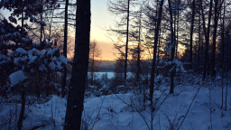 Chystá se nadílka! Meteorologové už vědí, jak bude sněžit celý příští měsíc