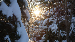 O víkendu přijde krutý mráz! Teploty spadnou ještě níže, než se čekalo