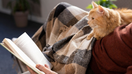 Miluje vás vaše kočka? Tyto projevy jsou důkazem její lásky