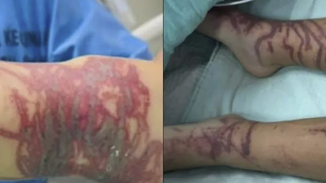 profimedia-1053543254