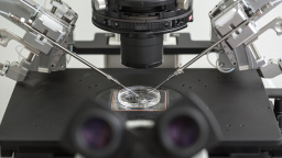 Vyrob si vlastní dítě: Genetické startupy mění rodičovství v katalogový nákup