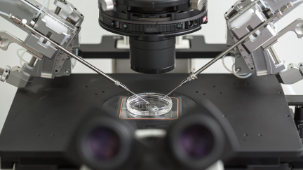 Vyrob si vlastní dítě: Genetické startupy mění rodičovství v katalogový nákup