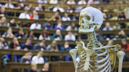 Anatomie budoucnosti je tady: Skutečná těla končí. Medici se učí na digitálních mrtvolách.