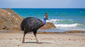 profimedia-0131872467